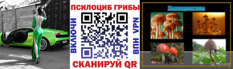 Галлюциногенные грибы мухоморы Дедовск