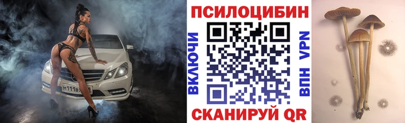 как найти закладки  Дедовск  Галлюциногенные грибы Cubensis 