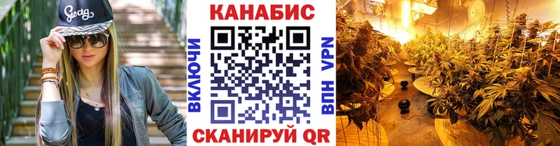 Бошки Шишки VHQ Дедовск